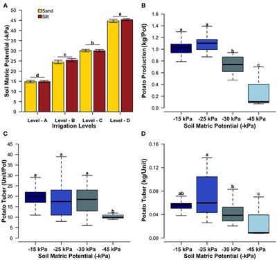 Soil Bacterial Community Associated With High Potato Production and Minimal Water Use